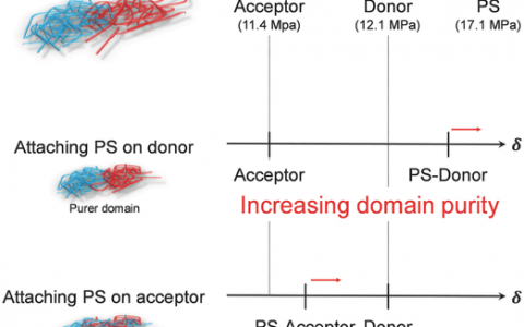 鲍哲南Adv. Energy Mater: 了解低聚聚苯乙烯侧链分布排列对全聚合物太阳能电池性能的影响