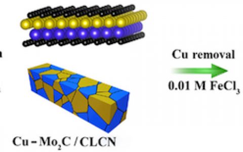 陈少伟&周伟家Nano Energy:分级结构石墨烯多孔微米棒负载Mo2C用作高效析氢电催化剂