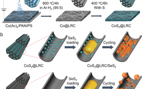 楼雄文Angew.Chem. Int. Ed.:基于CoS2修饰多通道碳纤维的自支撑SeS2正极用于提高锂存储性能