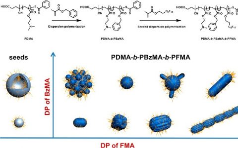 Macromolecules:在聚合物诱导自组装过程中用含氟液晶调控的聚合组装体的形态演变