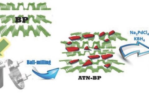 上海电力学院徐群杰团队Adv. Energy Mater.:用于乙醇电催化氧化的高活性和耐久性催化剂——二氧化钛-黑磷杂化载钯复合材料