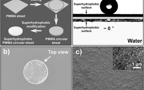 江雷团队Adv. Funct. Mater.:宏观形状调控实现超疏水PMMA表面高效气泡黏附 污水处理显身手