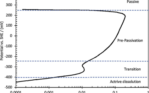 Corros. Sci. :低碳钢CO2腐蚀电化学——CO2对铁溶解反应的影响