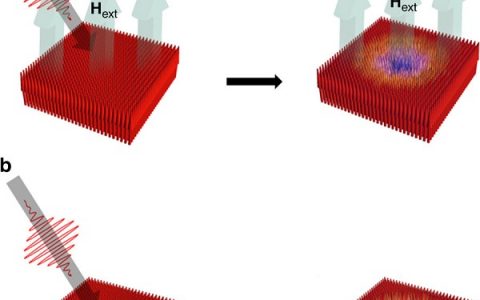Nat. Commun:铁磁Co / Pt多层材料超快磁致冷作用