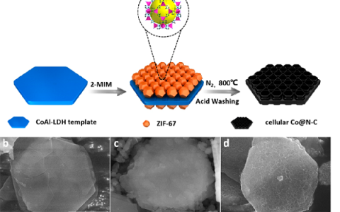 厦门大学化学化工学院董全峰教授课题组:锂硫电池正极材料研究新进展