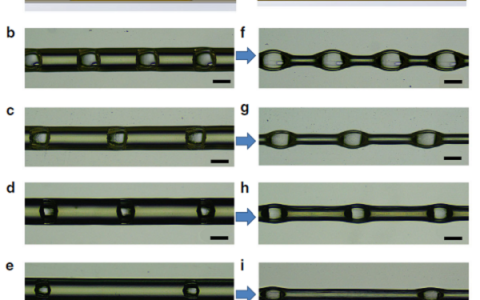 Nat. Commun:用于大规模高效集水的仿生空腔微纤维