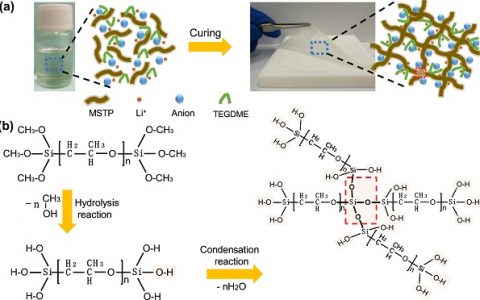 北京工业大学Nano Energy:无定形硅烷封端聚醚3D结构聚合物电解质打造高性能锂金属电池