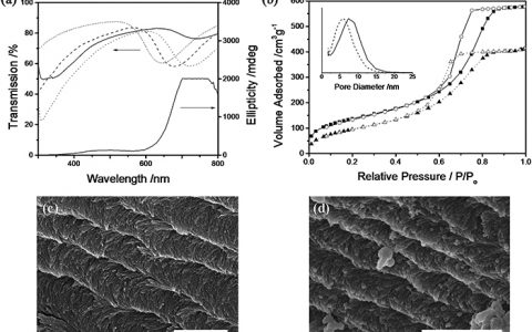 Adv. Funct. Mater.:光学特性的独立手性介孔有机硅薄膜
