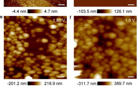 Angew. Chem. Int. Ed.:锂硫电池中正极/电解液界面高温形成功能性薄膜的原位AFM研究