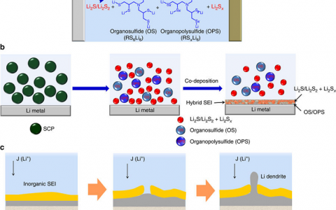 Nature子刊:有机可塑化固体电解质界面层提升长循环后锂硫电池锂负极稳定性