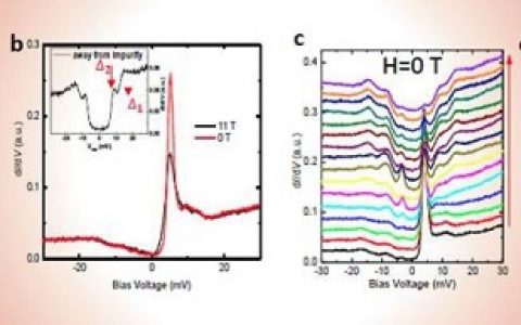 南大闻海虎教授团队:在铁基超导机理研究方面取得重要进展