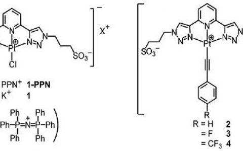 中山大学化学学院:两亲性Pt(II)配合物气致发光变色性质及存储器件研究