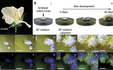 Science盘点: 9月材料领域重大进展