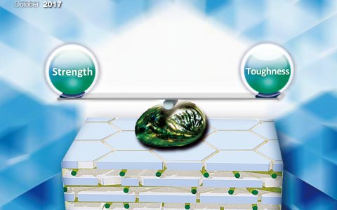 SCIENCE CHINA Materials 2017年第10期