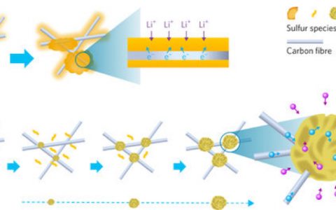 Nature Energy:含硫物种的可控形核与生长策略助力高性能锂硫电池——突破碳封装硫正极的传统概念!