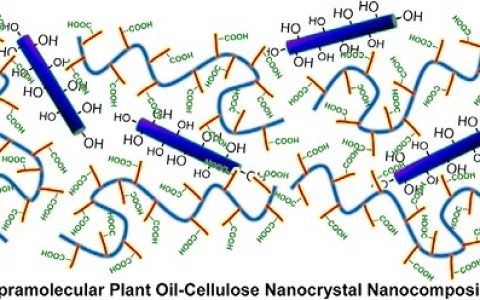 Macromolecules:来源于植物油和纤维素纳米晶的超分子聚合物纳米复合材料