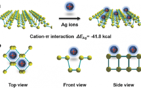 Adv. Mater. :金属离子修饰黑磷能显著增强其稳定性和晶体管性能