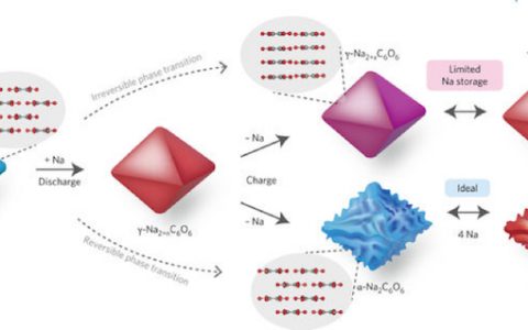 鲍哲楠&崔屹Nature Energy:高可逆容量钠离子电池取得突破性进展!