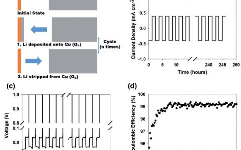 Adv. Energy. Mater:精确测定金属锂负极和金属锂电池的库伦效率