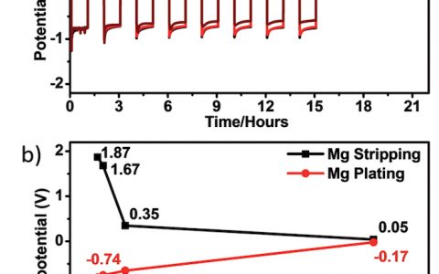 王春生&李伟善Adv. Energy. Mater:高效降低镁负极过电势的MgI2 SEI膜-为可充镁二次电池的应用扫除障碍