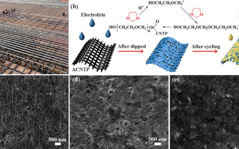 Energ. Environ. Sci.:酸化碳纳米管纸诱导阳离子原位聚合生成的固态电解质提升锂硫电池的循环寿命