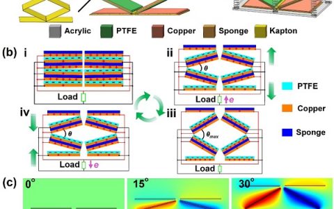 河南师范大学Nano Energy:摩擦纳米发电机助力生物质衍生碳材料作阴极催化剂的自驱动电芬顿降解系统