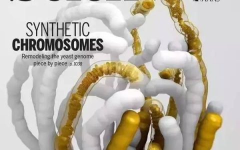 “严肃”的期刊封面已经被科学家们“玩”坏了!