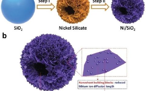武汉理工大学麦立强&周亮Adv. Funct. Mater. : 超细Ni纳米粒子/SiO2分级空心球用于高性能储锂