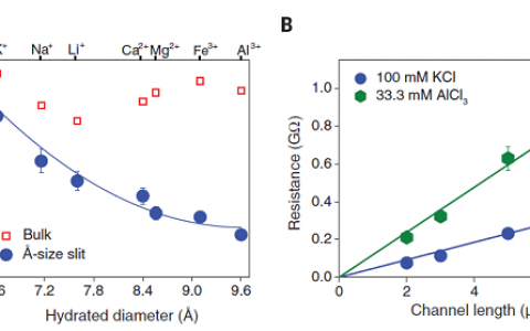 西南交通大学:发现埃级别狭缝中离子的传输机理