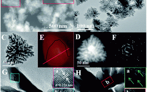 陕师大Chemical Science:聚乙胺功能化的铂纳米超结构: 形态和界面调控提高析氢反应性能