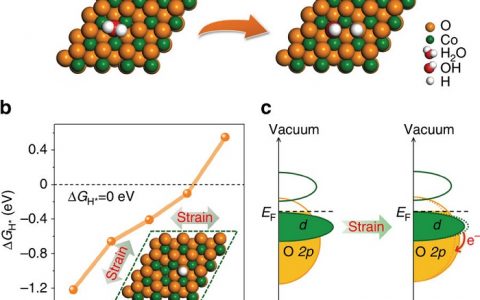Nature子刊:应力工程活化CoO纳米棒实现高效电催化