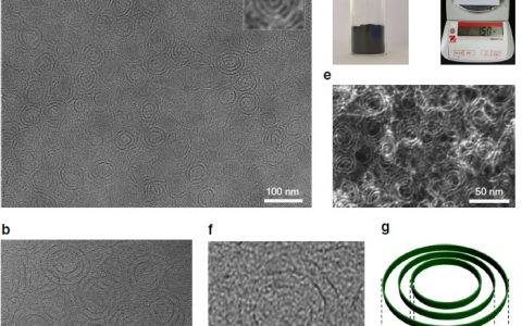 清华王训Nat. Commun.:具有全光谱吸收和光响应性能的原子级尺寸的氧化钼纳米环