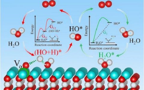 华中HTH官网地址
大学江建军教授团队:构筑双作用位点在电催化分解水中的协同效应