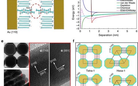 Nature子刊:首次实现纳米棒超晶格结构对称性的可控设计