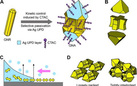 北京大学齐利民课题组:纳米粒子合成与组装方面取得新进展
