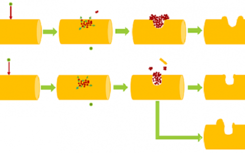 中科院近代物理所:重离子辐照一维纳米材料研究获进展