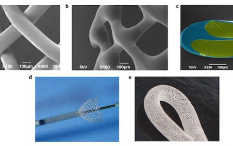 Nature Materials:高强度生物可吸收的聚合物基复合生物支架取得新进展