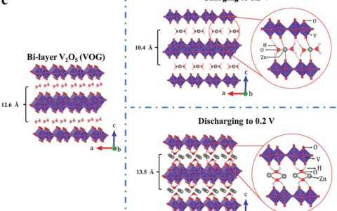 杨继辉&麦立强Adv. Mater:揭示结构水促进金属离子嵌入正极的作用机理,实现高倍率高容量水系锌二次电池