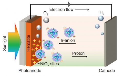 崔春华教授Nat. Commun:原子级镍-铱双金属活性位点用于光电催化析氧-沟通均相催化与异相催化的桥梁