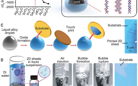 Science盘点: 十月材料领域重大进展