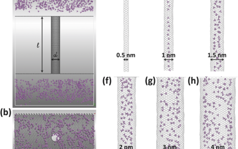 Adv. Energy. Mater.:中空的微孔碳纳米球/红磷复合材料用作高性能钠离子电池的负极材料