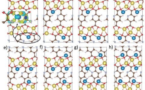 Adv. Energy. Mater. :实验计算两重奏-Na2PDC用于钠电有机负极及其充放电原理