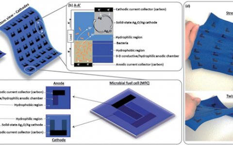 Adv. Energy. Mater:单片集成的单室无膜微生物燃料电池助力柔性可穿戴器件
