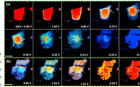 Nano Energy:原位表征技术揭示钠离子电池中硫化镍负极首次不可逆容量的成因