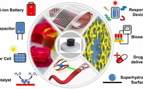 余桂华团队Acc. Chem. Res.: 新型多功能导电高分子凝胶的合成、性质及应用