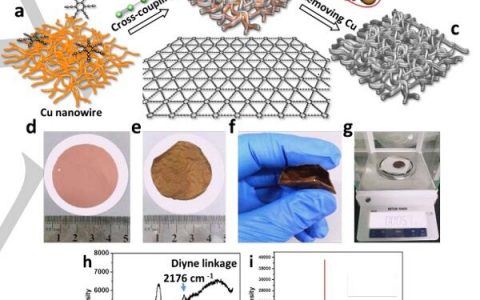 中科院化学所李玉良院士Angew.Chem.Int.Ed.:铜纳米线原位生长超薄石墨炔作为高性能锂离子电池负极材料