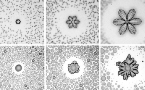 中科院化学所王健君课题组:首次揭示冷表面冰晶生长模式