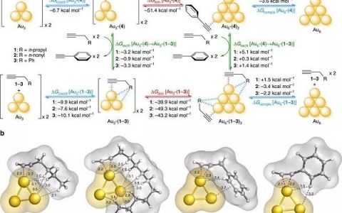 催化材料前沿研究成果精选【第2期】