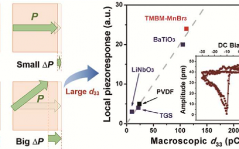 东南大学熊仁根教授J. Am. Chem. Soc.:无铅分子铁电薄膜中的巨大压电效应