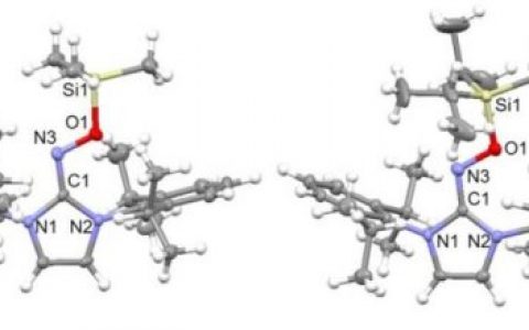 可充电电池:在它消失之前捕获自由基分子